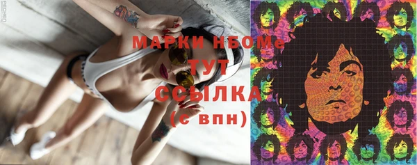 spice Снежногорск