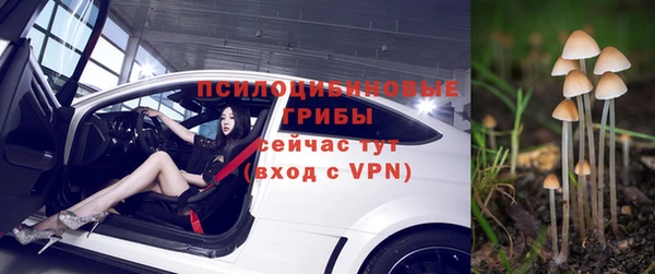 spice Снежногорск