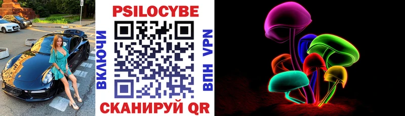 Купить где  Батайск  Галлюциногенные грибы Psilocybe 